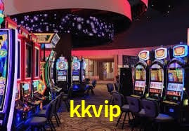 kkvip.com